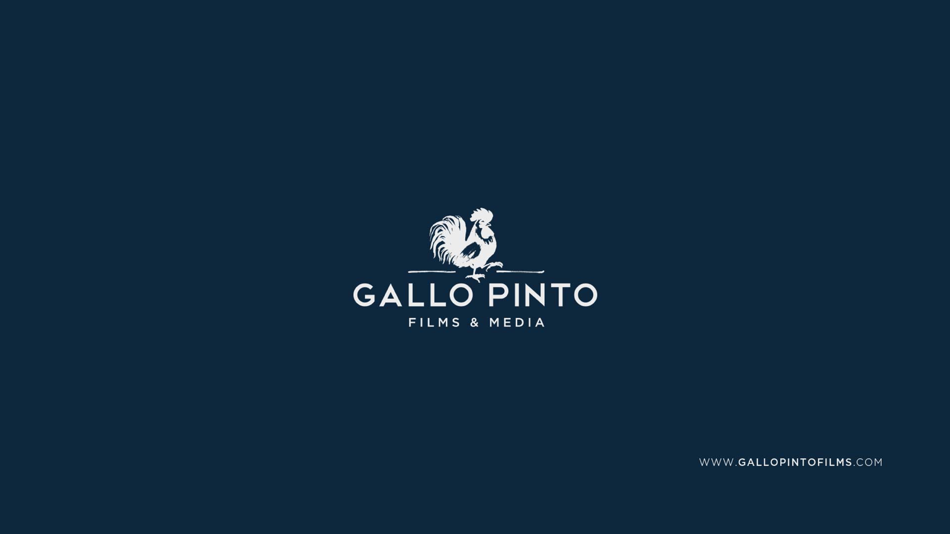 Gallo Pinto Films & Media