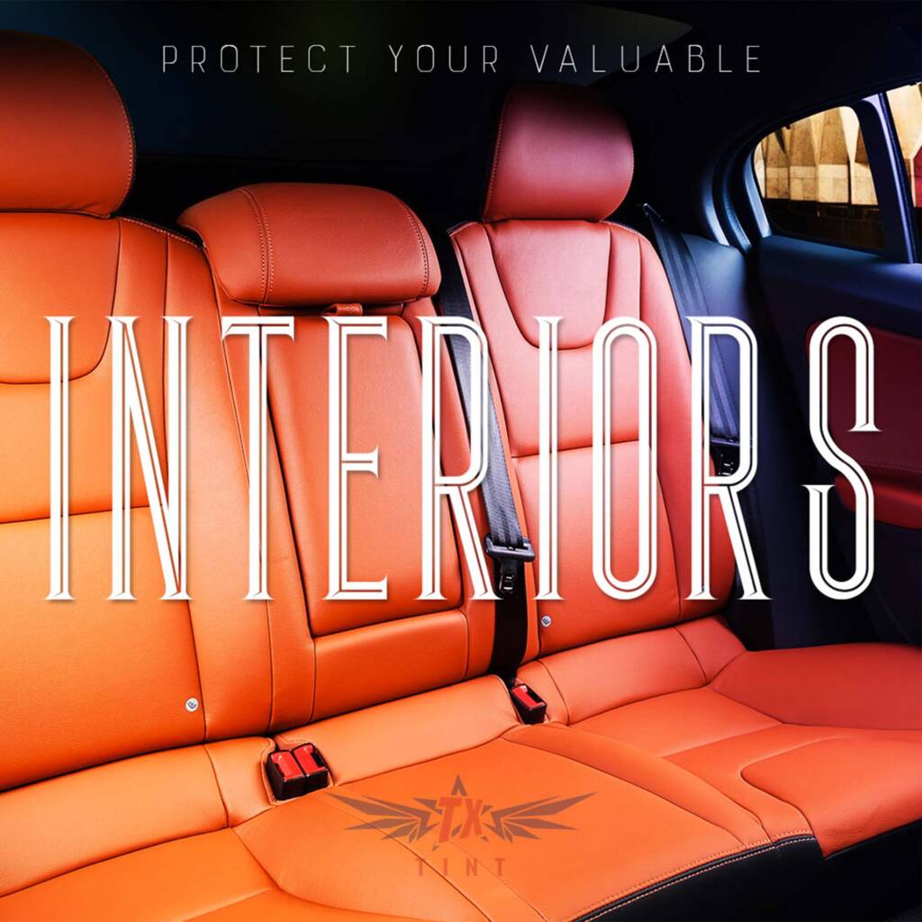 Proteje tus interiores